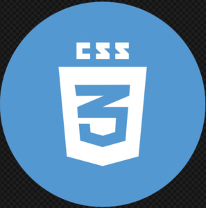 CSS logo